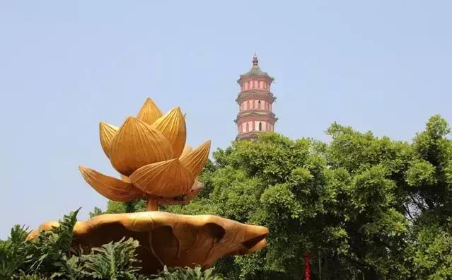 观察｜番禺区慈善会探路“去行政化”改革，离开“体制”怎么活下去？