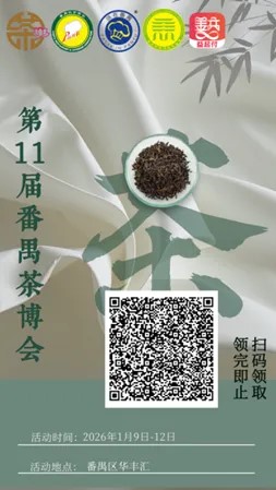 cad8b0f1-235d-43b8-8223-0aa73cb44164_17798670134770383.jpg